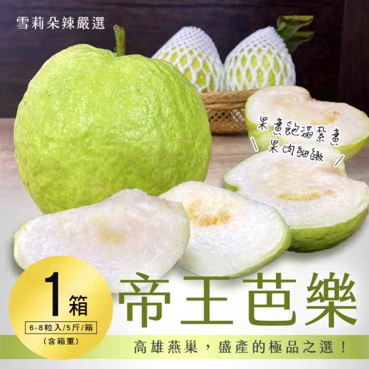 【雪莉朵辣嚴選】帝王芭樂 5斤/箱（6-8粒）