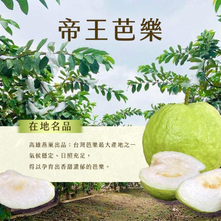 【雪莉朵辣嚴選】帝王芭樂 5斤/箱（6-8粒）