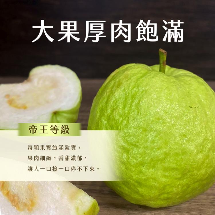 【雪莉朵辣嚴選】帝王芭樂 5斤/箱（6-8粒）