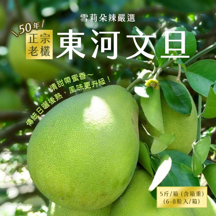 【雪莉朵辣嚴選】台東正宗老欉 東河文旦 5斤/箱（6-8粒）-中秋預購2025送禮/柚子