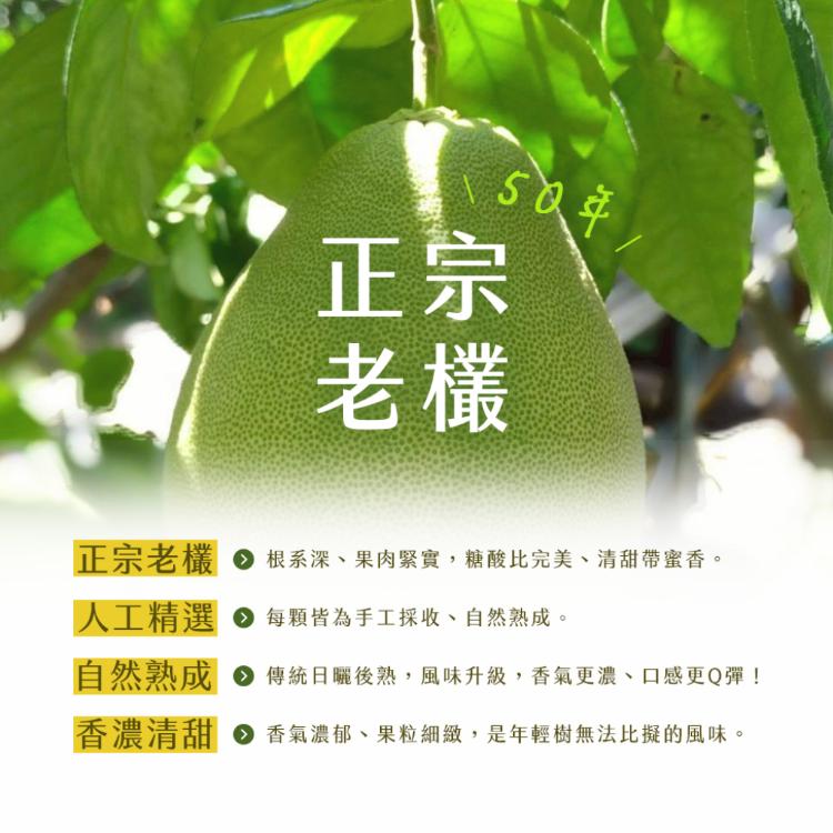 【雪莉朵辣嚴選】台東正宗老欉 東河文旦 十斤/箱（11-15粒）-中秋預購2025送禮/柚子