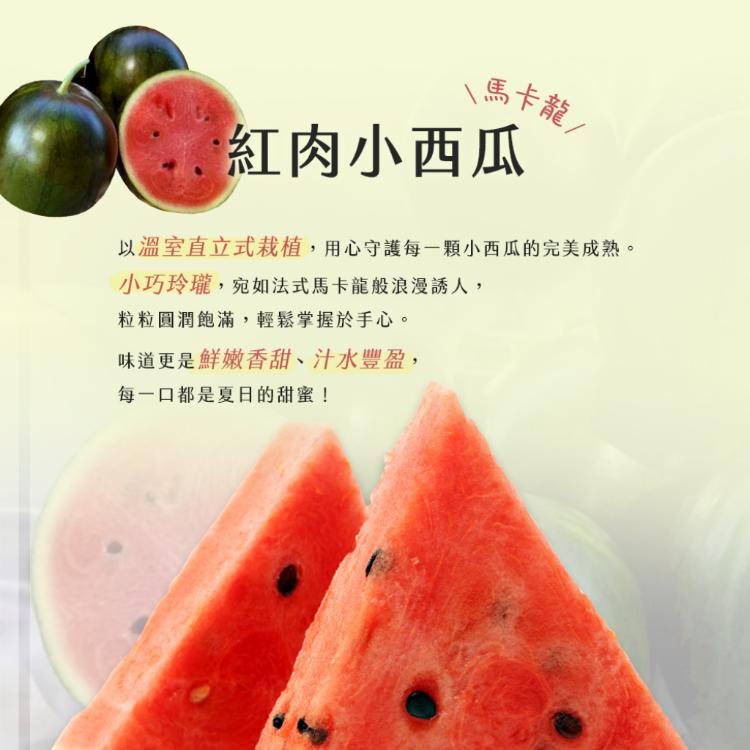 【雪莉朵辣嚴選】馬卡龍 紅肉小西瓜 大果(2粒)4斤箱