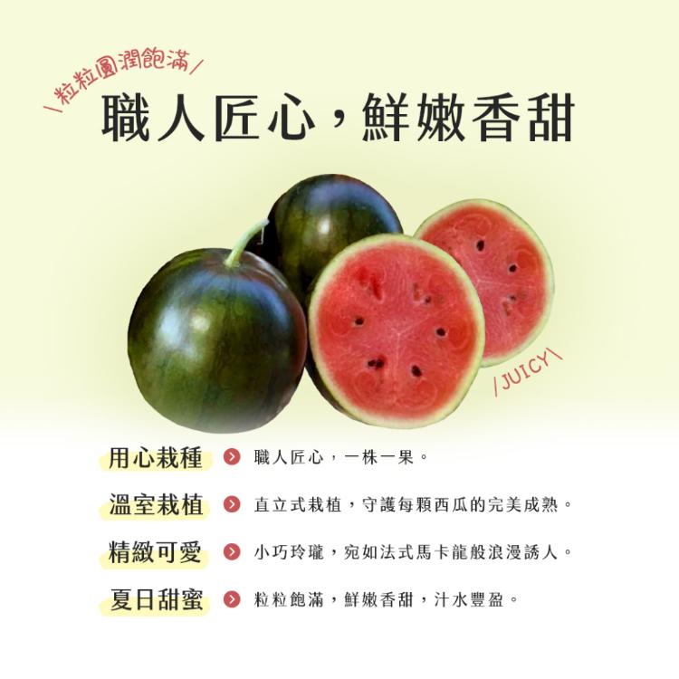 【雪莉朵辣嚴選】馬卡龍 紅肉小西瓜 大果(2粒)4斤箱
