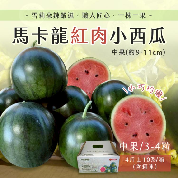 【雪莉朵辣嚴選】馬卡龍 紅肉小西瓜 中果(3-4粒)4斤箱