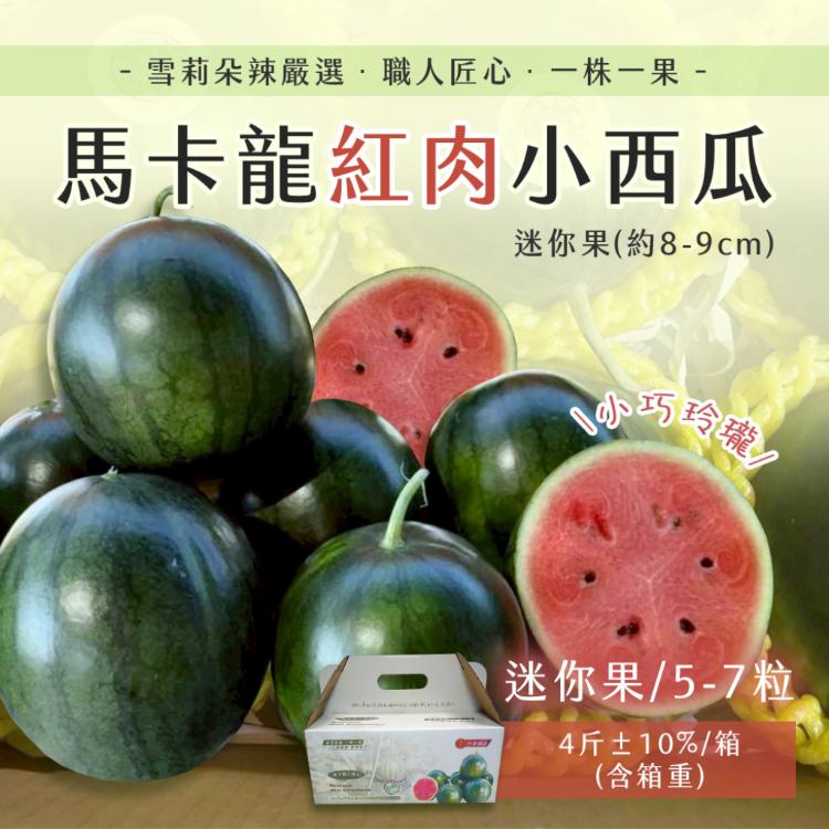 【雪莉朵辣嚴選】馬卡龍 紅肉小西瓜 迷你果(5-7粒)4斤箱