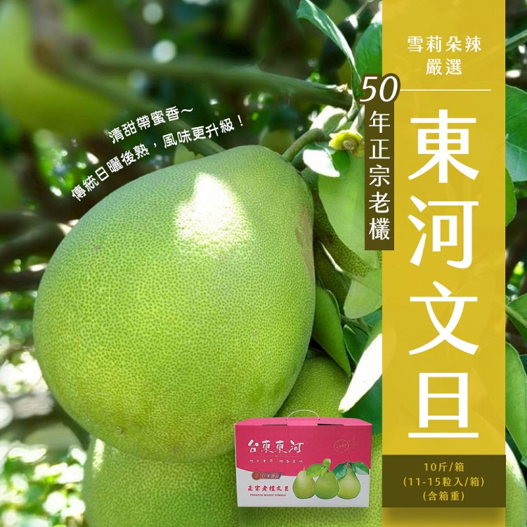 【雪莉朵辣嚴選】台東正宗老欉 東河文旦 十斤/箱（11-15粒）-中秋預購2025送禮/柚子
