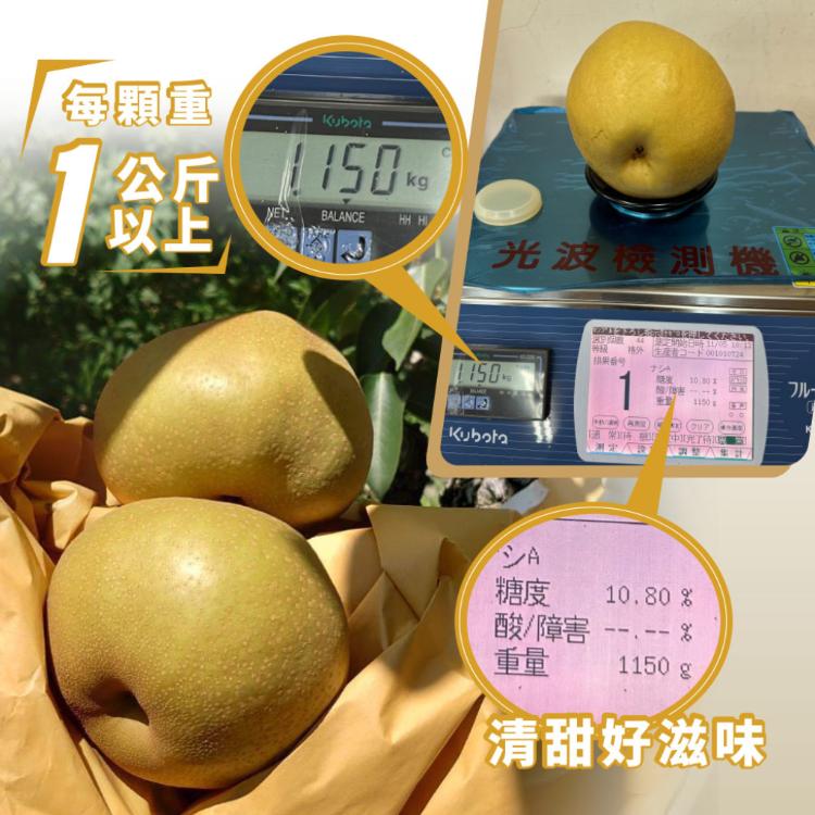 【雪莉朵辣嚴選】寶島甘露梨 帝王級特大果-6.5公斤箱（五粒裝）