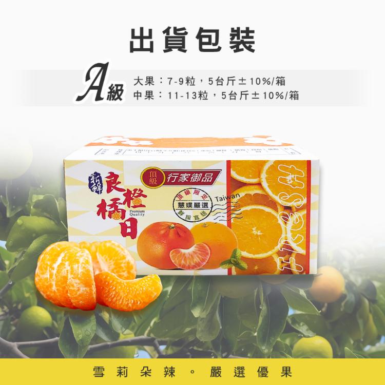 預購【雪莉朵辣嚴選】青皮椪柑 25A級中果 5斤/箱（11-13粒入）