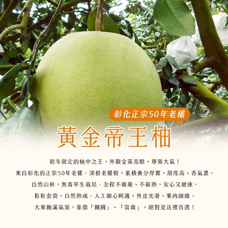【雪莉朵辣嚴選】彰化正宗50年老欉 黃金帝王柚 單顆裝/4公斤