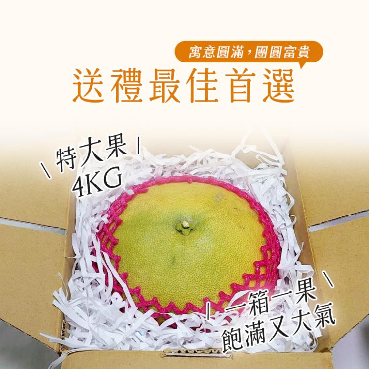 【雪莉朵辣嚴選】彰化正宗50年老欉 黃金帝王柚 單顆裝/4公斤