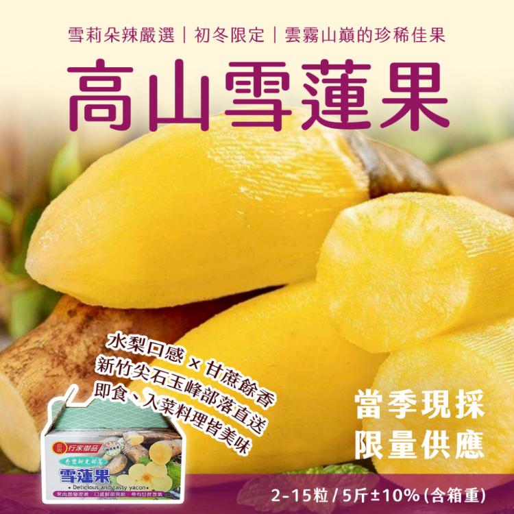 【雪莉朵辣嚴選】高山雪蓮果(12-15粒) 5斤/箱(含箱重)