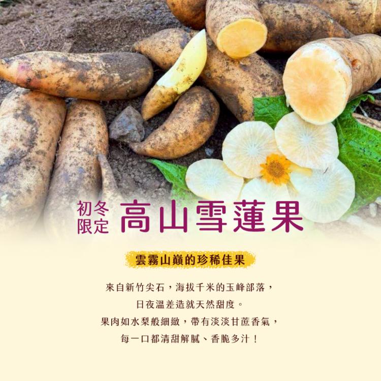 【雪莉朵辣嚴選】高山雪蓮果(12-15粒) 5斤/箱(含箱重)