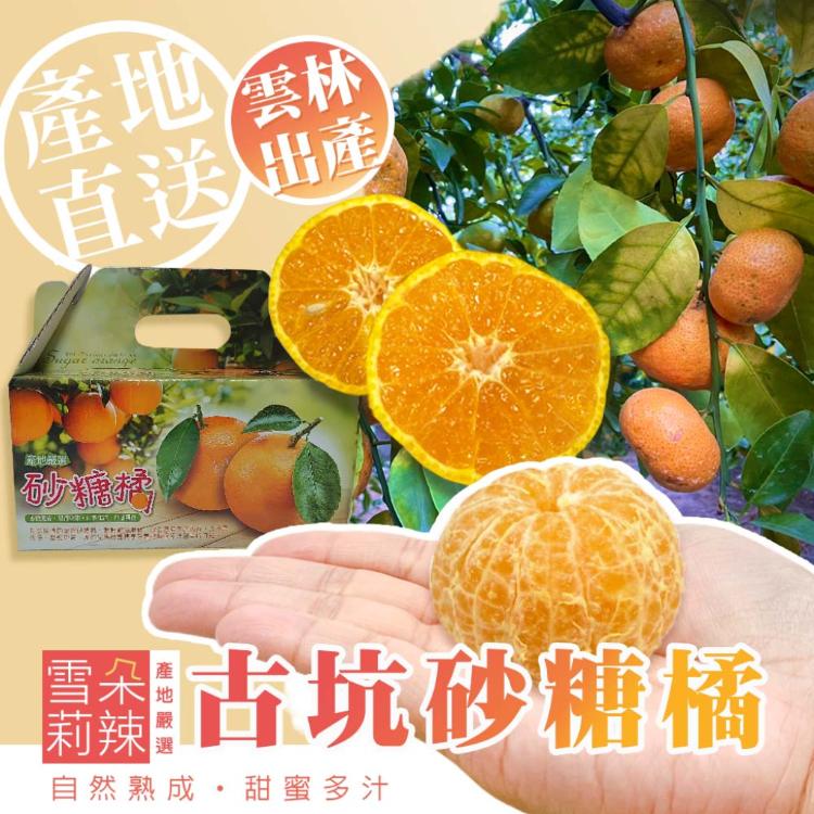 【雪莉朵辣嚴選】古坑砂糖橘 5斤箱(約25-35粒)