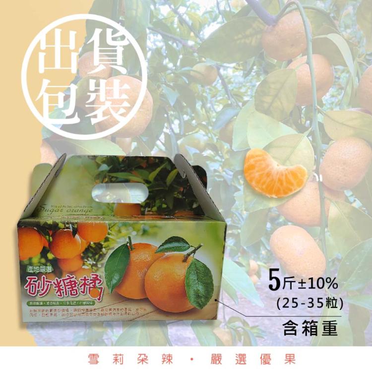 【雪莉朵辣嚴選】古坑砂糖橘 5斤箱(約25-35粒)