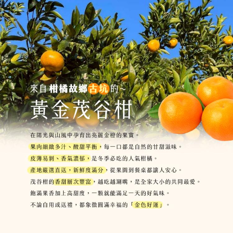 【雪莉朵辣嚴選】黃金茂谷柑 5斤/箱(約21-25粒)