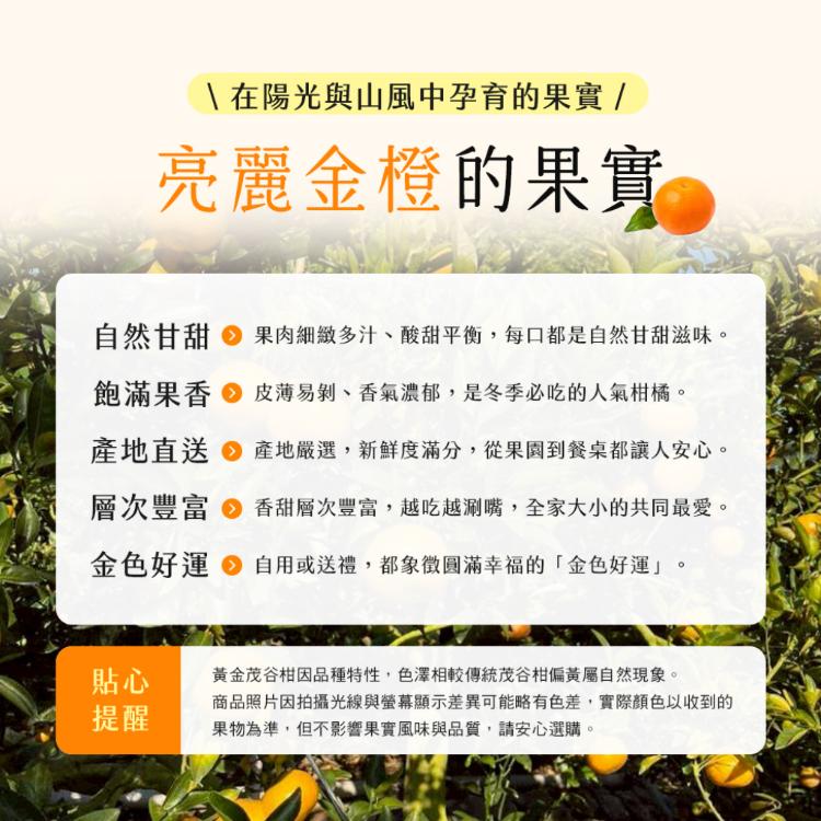 【雪莉朵辣嚴選】黃金茂谷柑 5斤/箱(約21-25粒)
