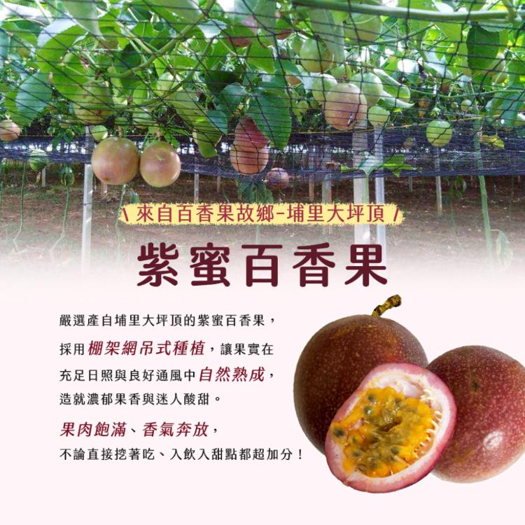 【雪莉朵辣嚴選】紫蜜百香果-A果（五斤/箱；約28-32顆）