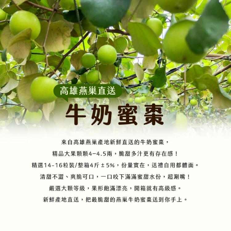 【雪莉朵辣嚴選】高雄燕巢牛奶蜜棗-大果(4斤/箱)
