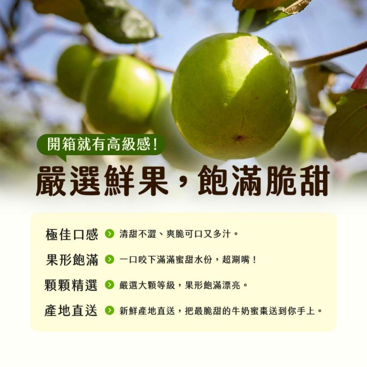 【雪莉朵辣嚴選】高雄燕巢牛奶蜜棗-大果(4斤/箱)