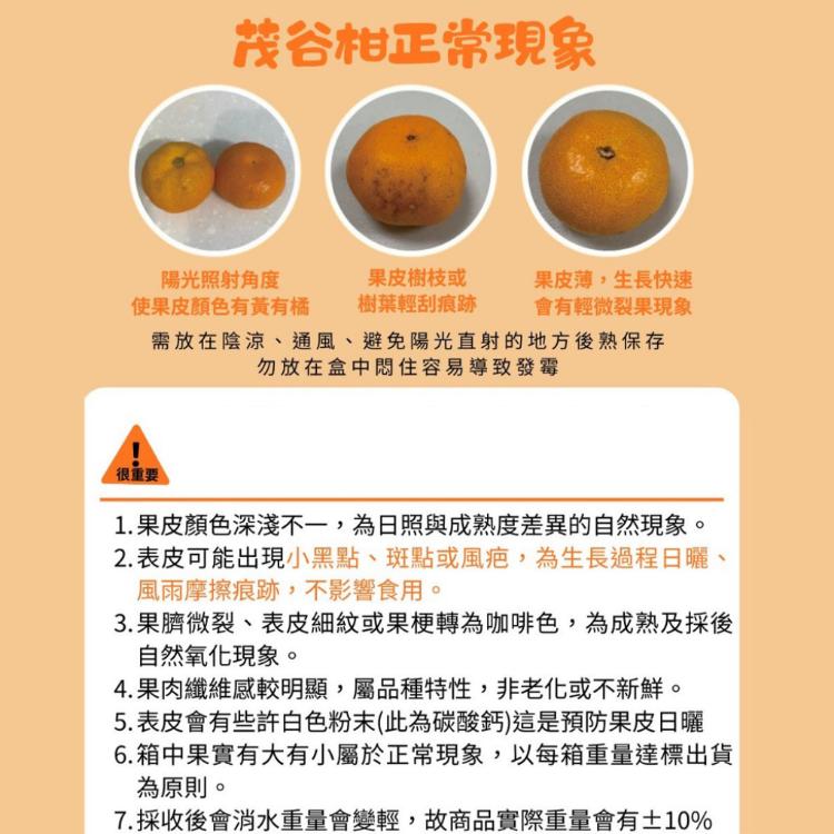 【果子禮】東勢25A-明正茂谷柑 5斤/箱（約15入）