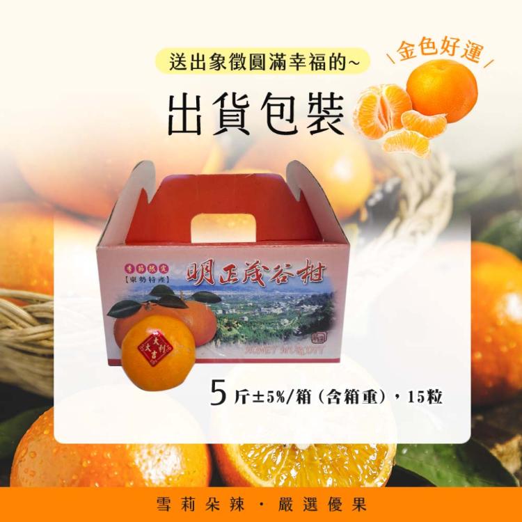 【果子禮】東勢25A-明正茂谷柑 5斤/箱（約15入）
