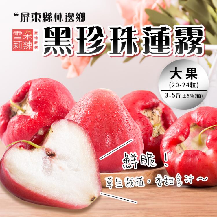 【雪莉朵辣嚴選】黑珍珠蓮霧3.5斤±5%/箱 (大果20-24粒)