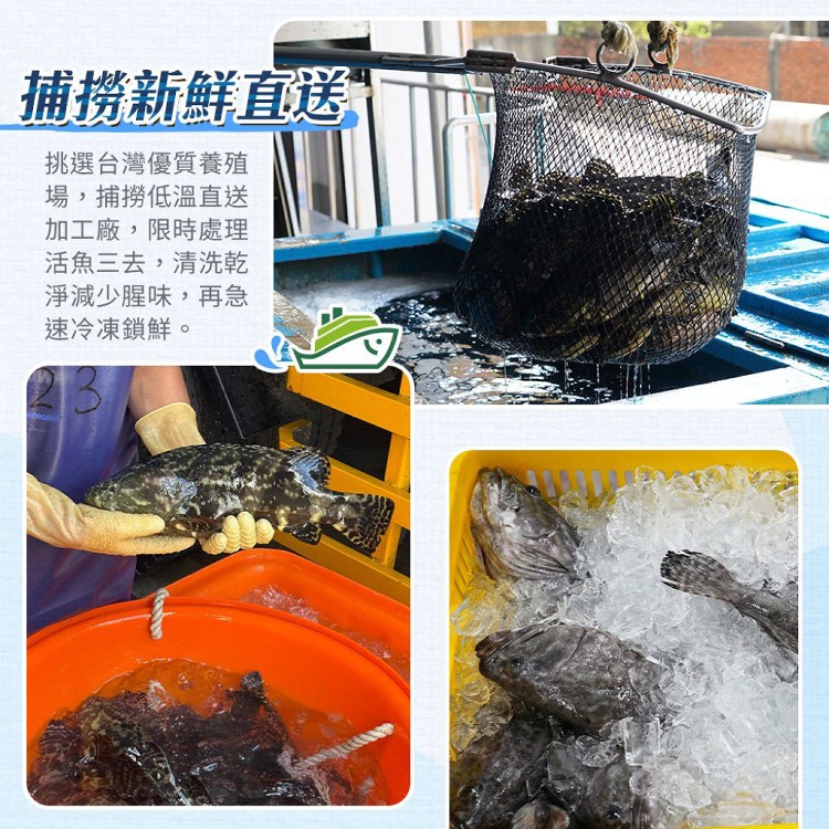 【山田大叔】金燦龍虎斑炊粉鍋