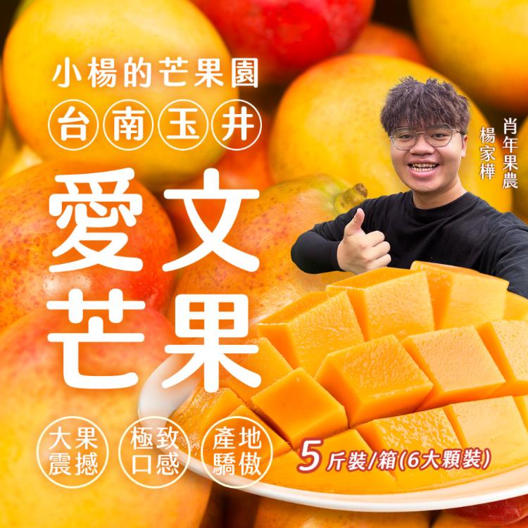 小楊的芒果園【台南玉井】愛文芒果 6顆(五斤裝箱)