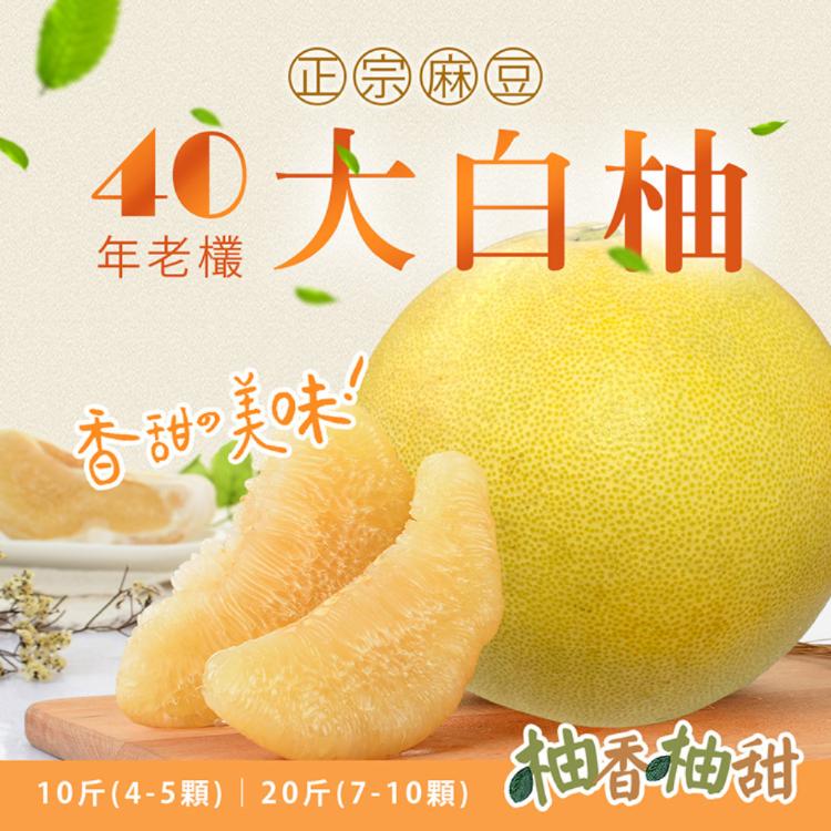 40年老欉【柚香柚甜】正宗麻豆40年老欉白柚 十斤(4-5顆)、二十斤(7-10顆)