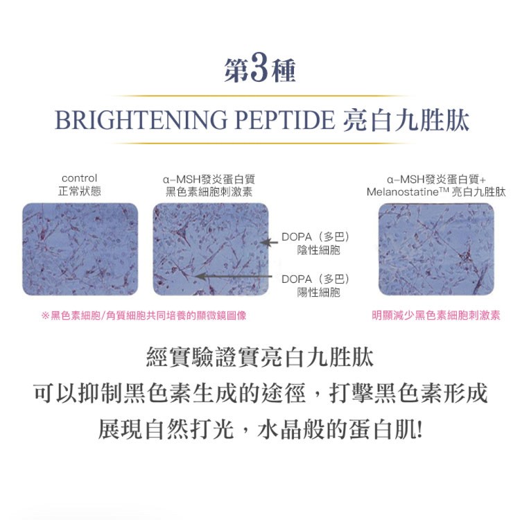 【palclair】保濕美白精萃凝膠-皮膚科醫師推薦 4效合1(化妝水+精華+乳液+乳霜+保濕面膜)