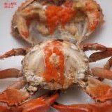 ㊣耐人蟳味㊣府城美食！清蒸酒香紅蟳~~新上市 蟹禮~ 特價：$150