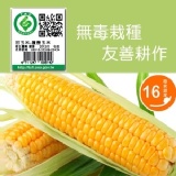 無毒超級甜玉米 特價：$70