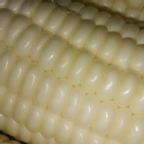 水果玉米(自稱coach玉米) 馬上訂 買5送1 唷~~ 特價:$22 水果玉米(自稱coach玉米) 馬上訂 買5送1 唷~~ 特價:$22