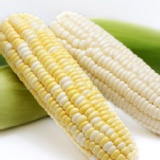 水果玉米(自稱coach玉米) 特價：$960