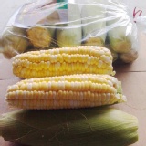 水果玉米(自稱coach玉米) 特價：$85