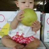 台南麻豆正老欉文旦柚 40年麻豆正老欉文旦 一箱20斤裝(含運) (每滿5箱贈送主購5斤文旦) 特價：$750