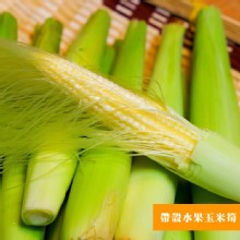 [大合購] 蔬果工場 ❈ 帶殼水果玉米筍 100%超鮮甜