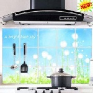 DIY創意廚房防油牆貼/壁貼 ~編號7 蒲公英款(不適用超商取貨) 特價：$60