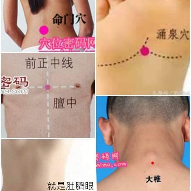 精油貼片1包5片