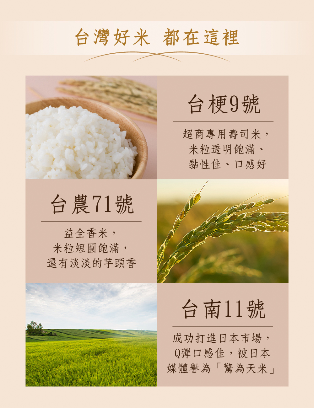 台灣好米 都在這裡，台梗9號，超商專用壽司米,米粒透明飽滿、黏性佳、口感好，台農71號，益全香米,米粒短圓飽滿,還有淡淡的芋頭香，台南11號，成功打進日本市場,Q彈口感佳,被日本，媒體譽為驚為天米。