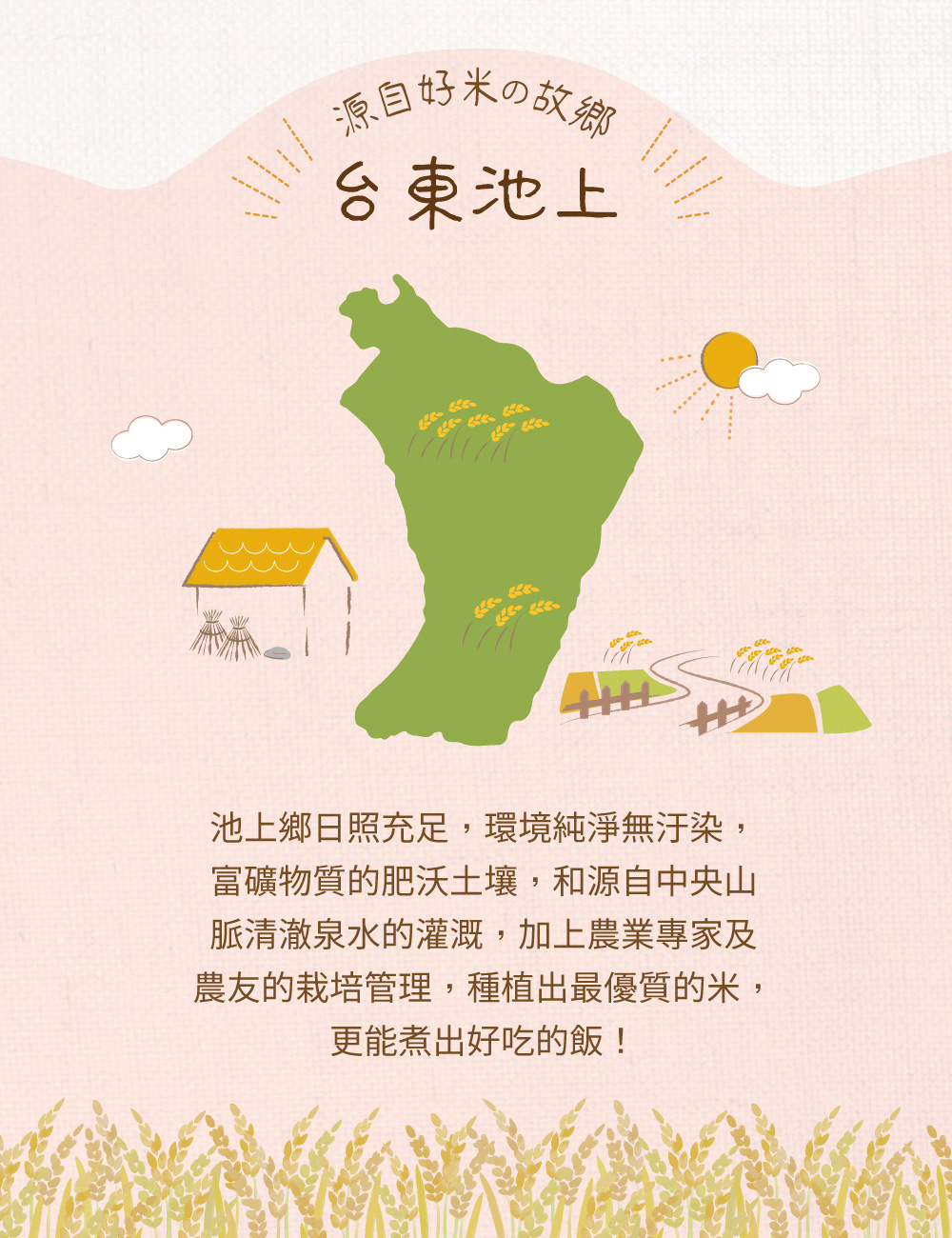 源自好米の故物，台東池上，池上鄉日照充足,環境純淨無汙染,富礦物質的肥沃土壤,和源自中央山，脈清澈泉水的灌溉,加上農業專家及，農友的栽培管理,種植出最優質的米,更能煮出好吃的飯!。