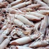 現撈熟白皮脆卷