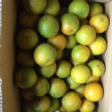 紅肉柳丁3台斤1袋