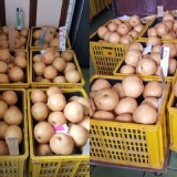 新興梨9A一層9顆(每顆約9.5~11兩)