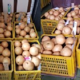 新興水梨8特A8顆禮盒(每顆約14~15.4兩)含運