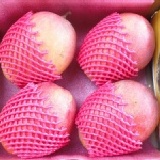 ★村長的愛文芒果★ 預購中~5台斤4粒~極品量少