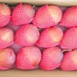 ★村長的芒果 ★品質保證 ★ 預購中~10台斤12粒~買15盒免運