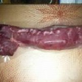 黑豬里肌肉（1斤／袋）