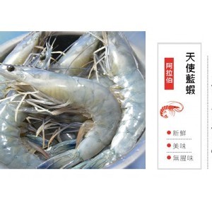 紅海鮮脆大藍鑽蝦(1000G/盒)30/40