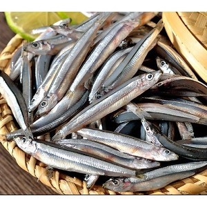 澎湖新鮮產地直送丁香魚